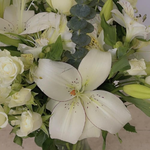 فازة زهور بيضاء