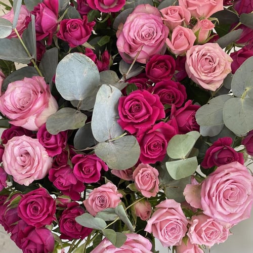 فازة الربيع