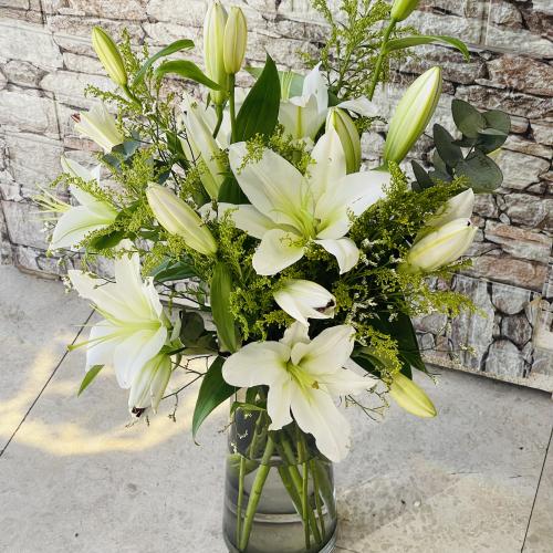 فازة الكازابلانكا