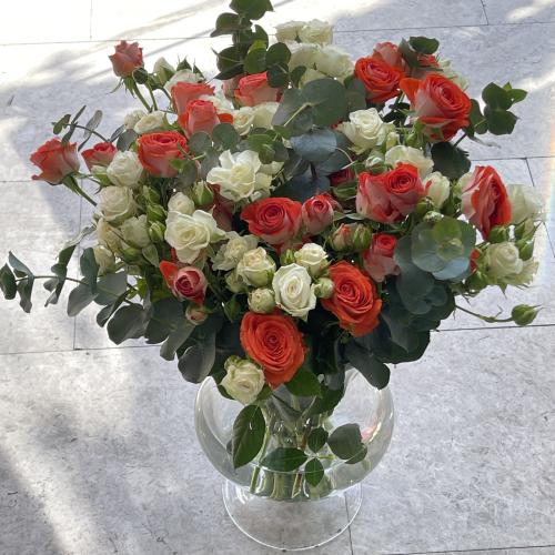 فازة الجمال