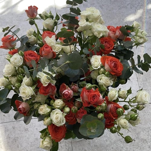 فازة الجمال