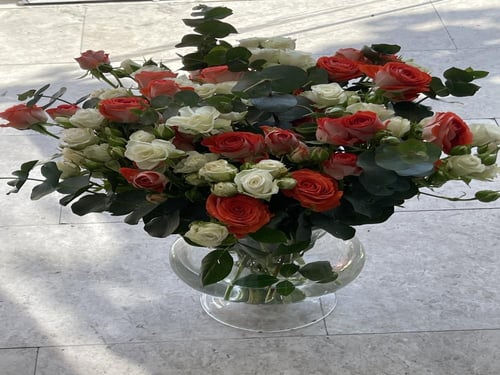 فازة الجمال