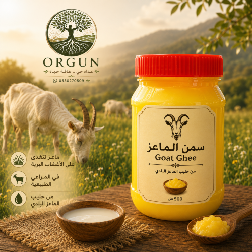سمن ماعز بلدي فاخر