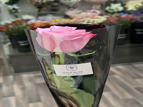 توزيعات دبل كلر