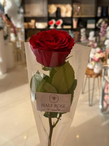 ورد بالحبة توزيعات