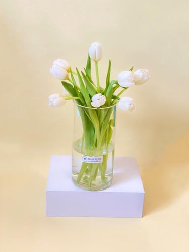 فازة توليب ابيض