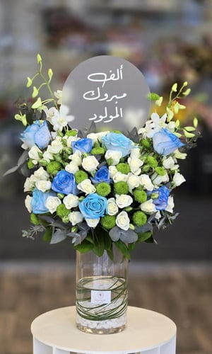 فازة مولود ولد