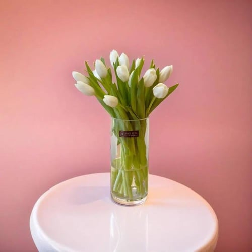 فازة توليب ابيض