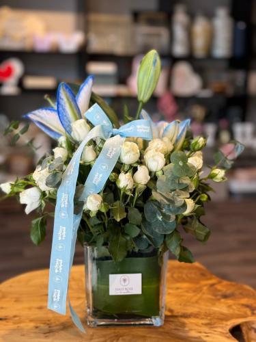 فازة مولود ولد مربعة