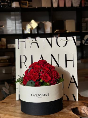 ورد وشوكولا هانوفرين مكس براند - أحمر