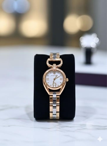 Aigner Garda watch