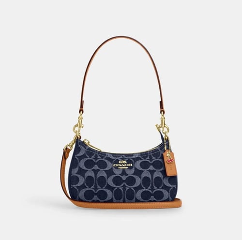 Coach teri mini