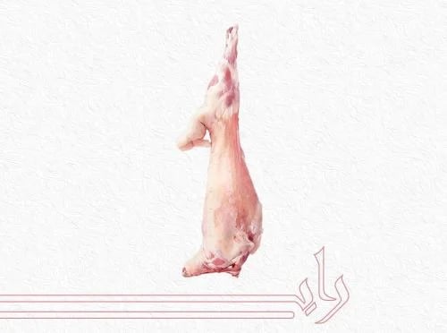 نعيمي كشميري لباني وزن من 8.1 الى 9 كيلو