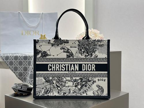 شنطة ديور | Dior