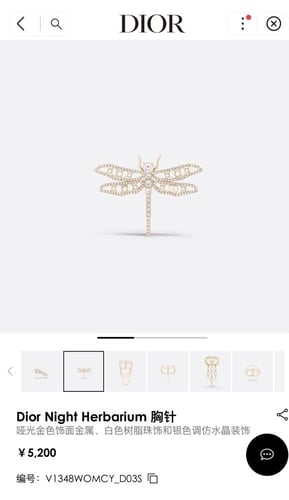 بروش ديور | Dior