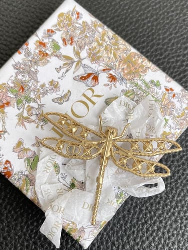 بروش ديور | Dior