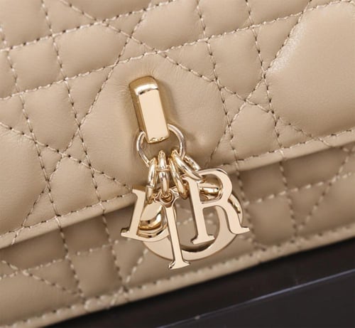 شنطة ديور | Dior