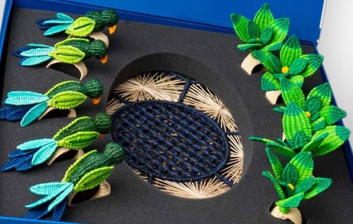 بوكس اهداء قاردينيا