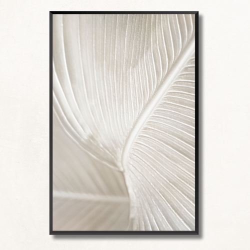 لوحة جدارية طبيعة واشجار