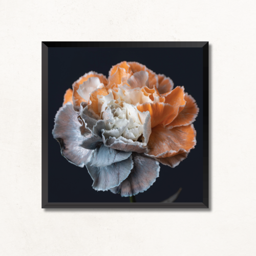 لوحة جدارية وردة ثلاثية الأبعاد