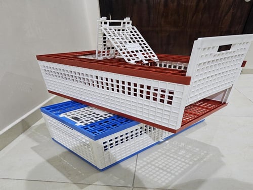 قفص نقل وتدريب