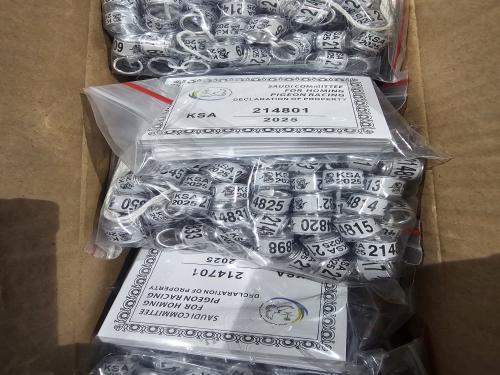 حجول الاتحاد السعودي 2025