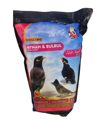 اكل المينا والبلابل