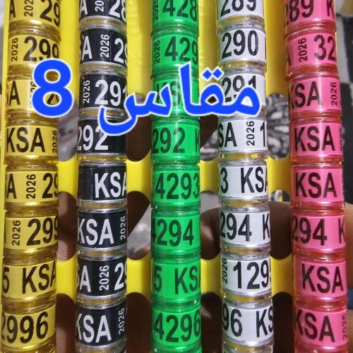 حجول 2026 مقاس 8