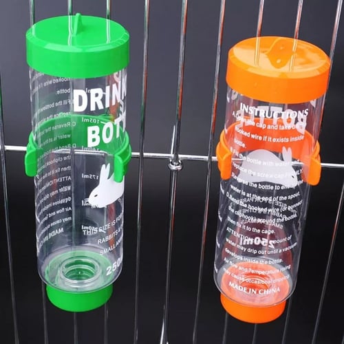 مشريية ماء للحيوانات الصغيرة