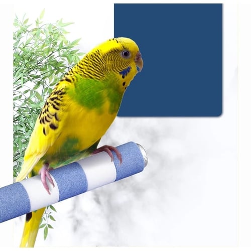 مبرد للطيور