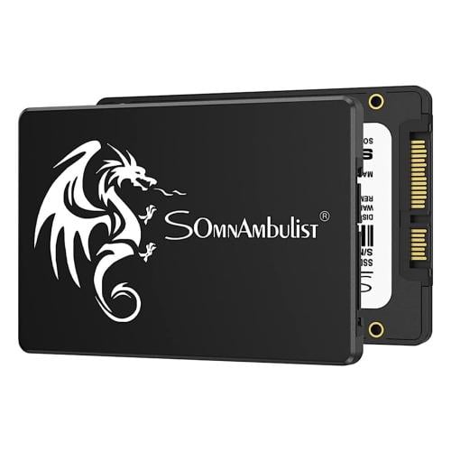 Somnambulist 256GB SATA SSD - Used