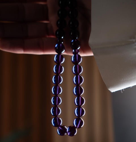 زعفران حرباء فضة ( خزامى )