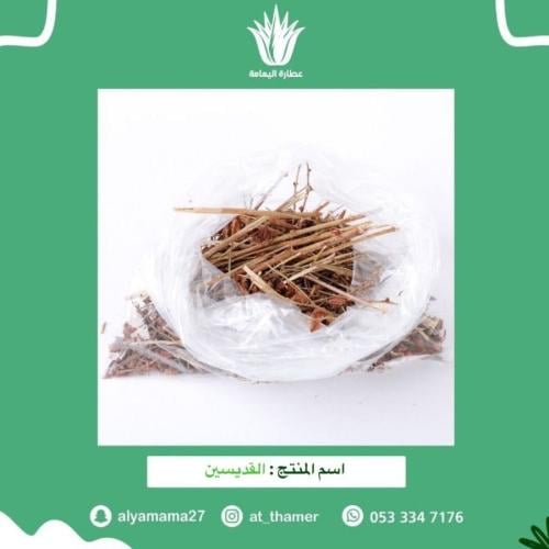 القديسين