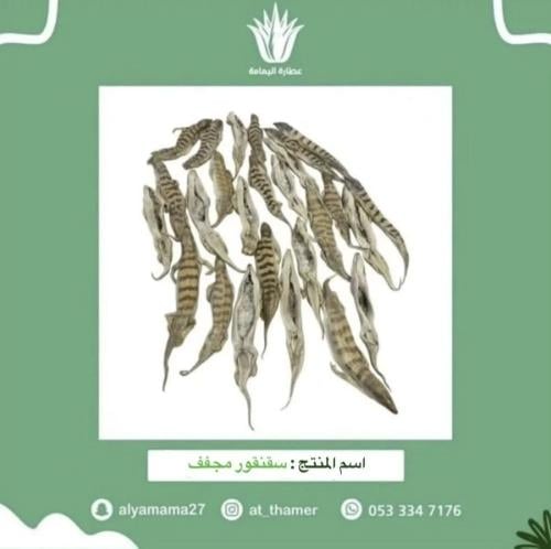 سقنقور مجفف - 2 حبة