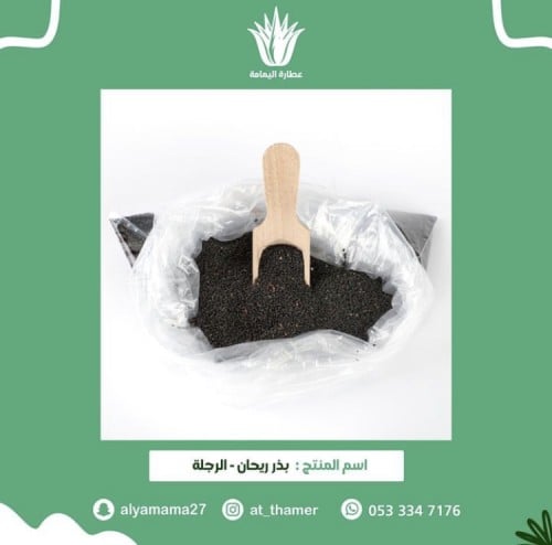 بذر ريحان - الرجلة - 50 جرام