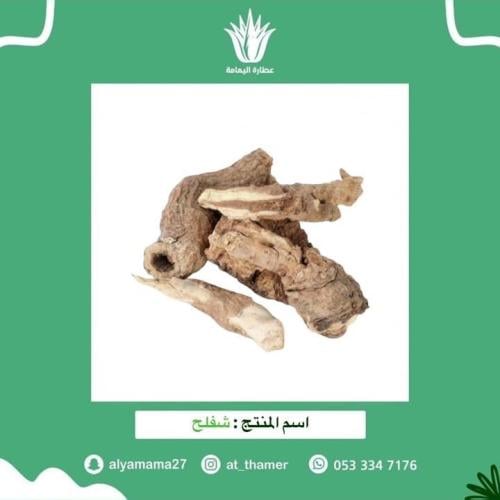 شفلح القبار - 90 جرام