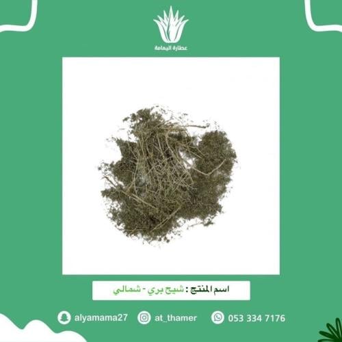 شيح بري شمالي