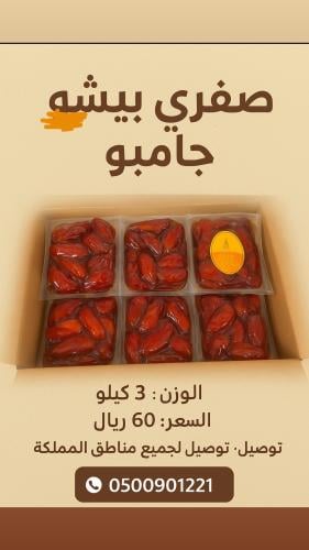 صفري بيشه جامبو 3كيو 12 كيس