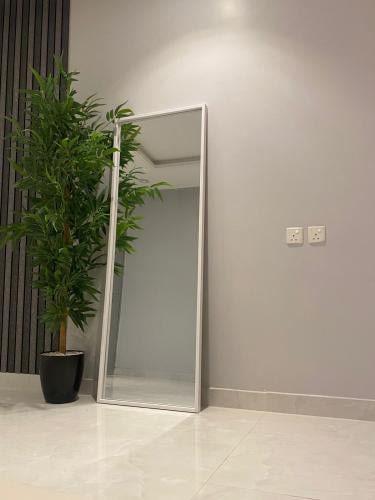 مراية FOXER FRAME بألوان متعددة