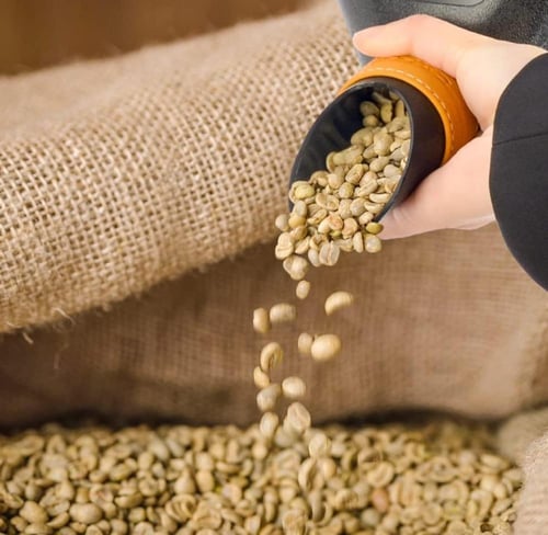 حامل بن كبير