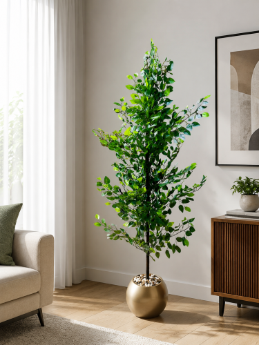 Lemon Tree 160cm شجرة الليمون