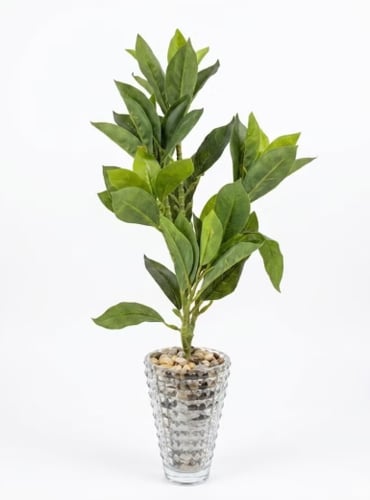 Artificial Greenery Plant in Glass Vase with Stones – 24" Faux Indoor Potted Tree