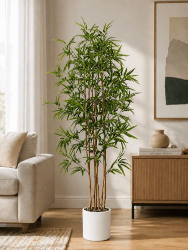 Bamboo tree Indoor Plants 160cm شجرة البامبو
