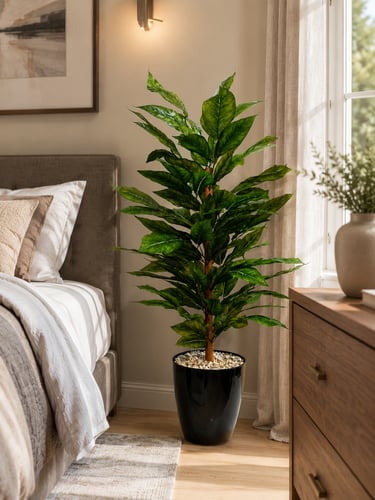 Mango tree (Height 160CM)