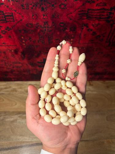 دومنة جديد تلميكة
