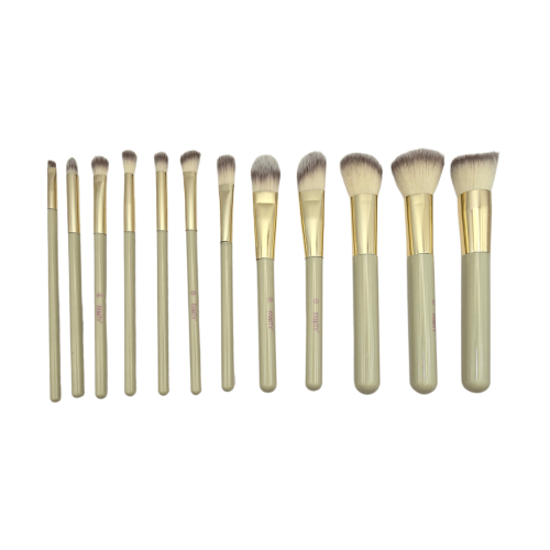 مجموعة فرش مكياج من FANTY مكونه من 12 فرشاة