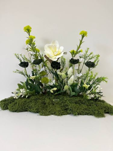 طولي مشتت 022