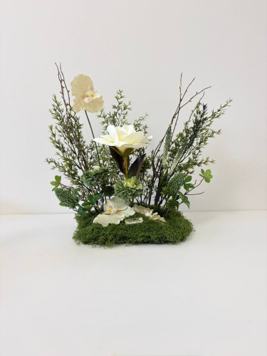 طولي مشتت 069