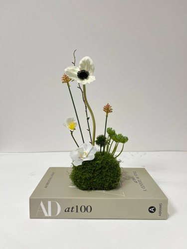 087