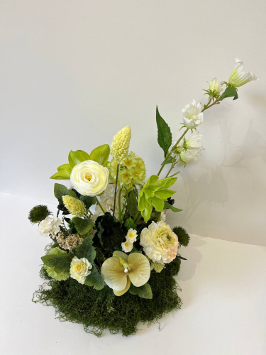 دائري مشتت 003